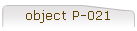 object P-021