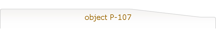 object P-107