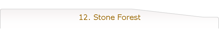 12. Stone Forest
